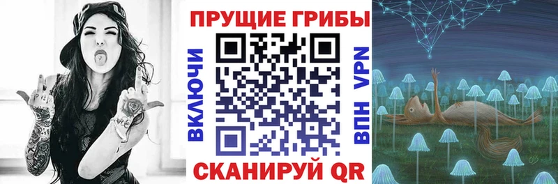 Псилоцибиновые грибы Magic Shrooms  Купить где  Бугульма 